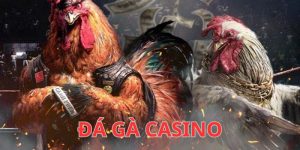 đá gà casino