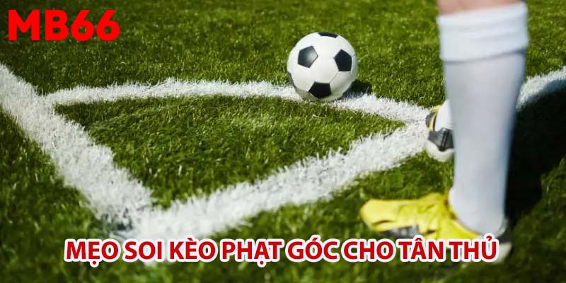 Mẹo soi kèo phạt góc cho tân thủ